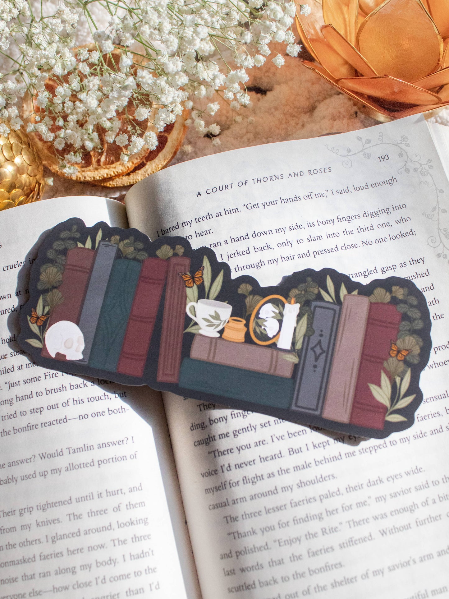 Meaggie Moos - Dark Academia Bookshelf Bookmark  | Soft Touch - The Secret Garden Bookery