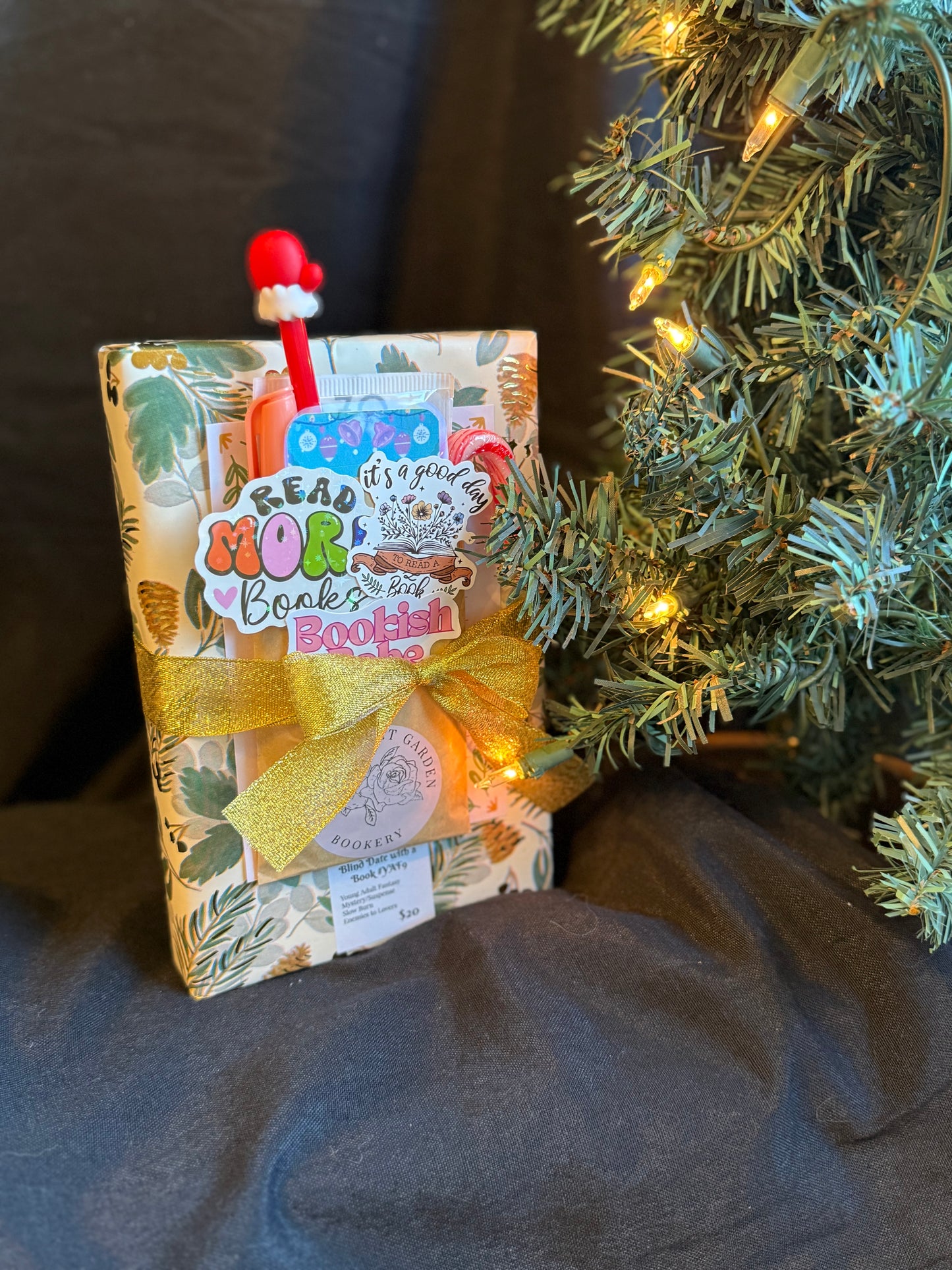 Blind Date with a Book YAF9